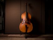 De contrabas - Leer hem beter kennen