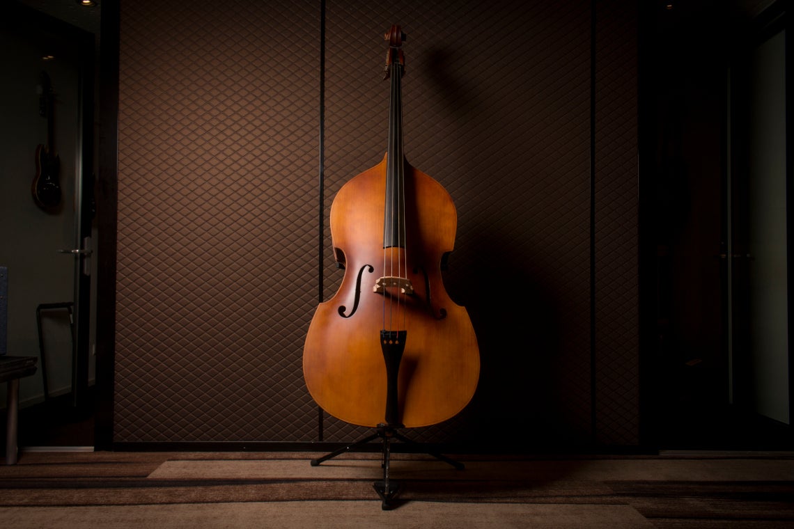 Get to Know the Double Bass | Bax Music Blog