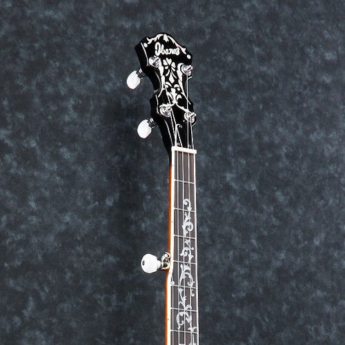 How Many Strings Does a Banjo Have?