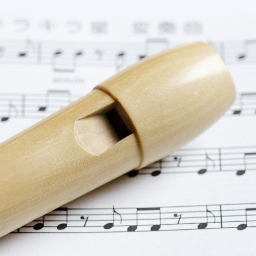 Is the Recorder Only Used as a Teaching Instrument?